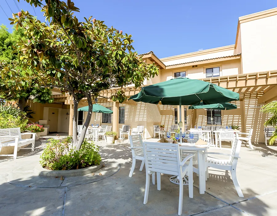 02-calavera-patio